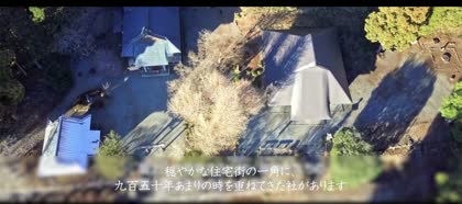 杜の俯瞰